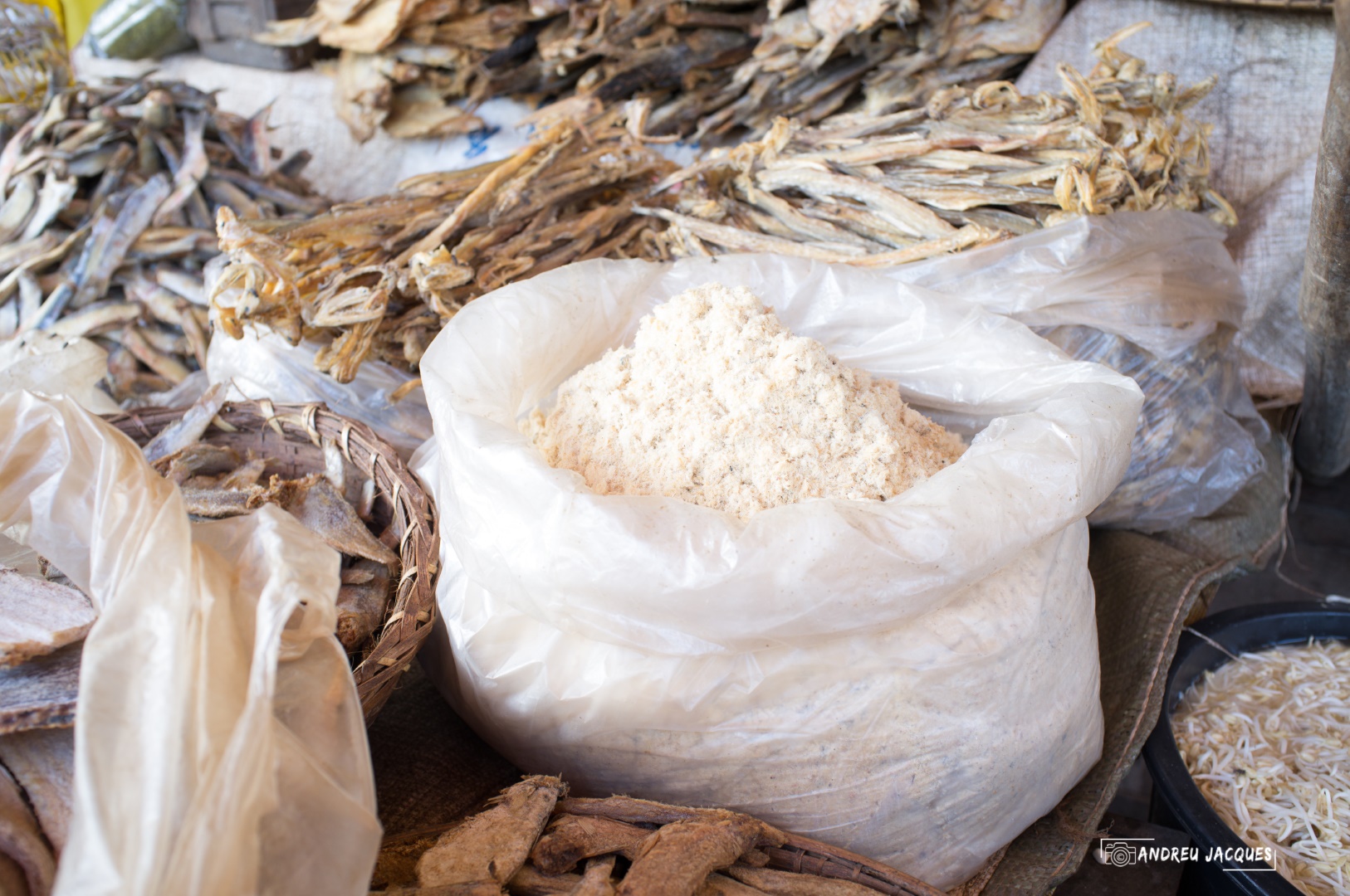 birmanie-156 (Grand).jpg